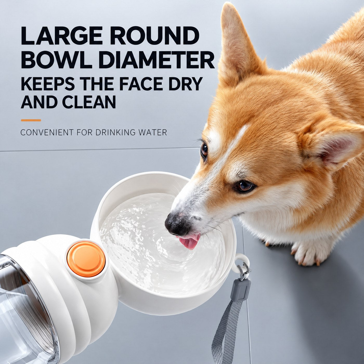 Pet Essentials
